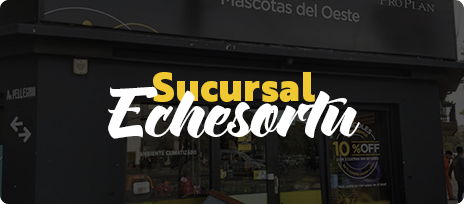 Echesortu