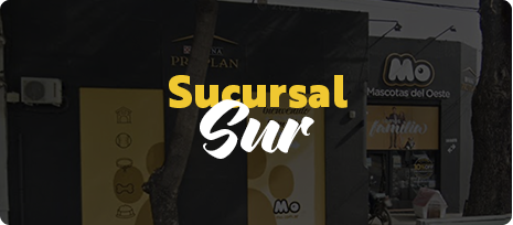 Sur