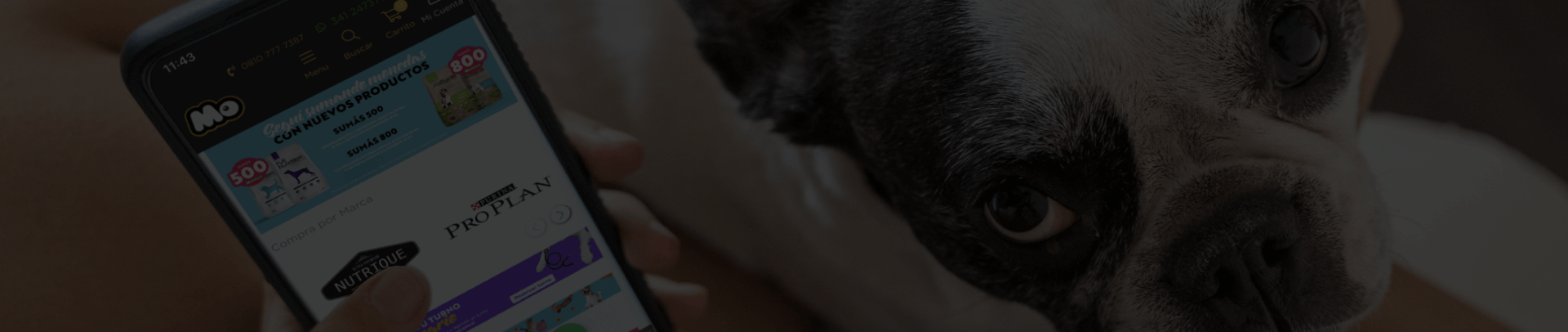 Espacios de comunicación