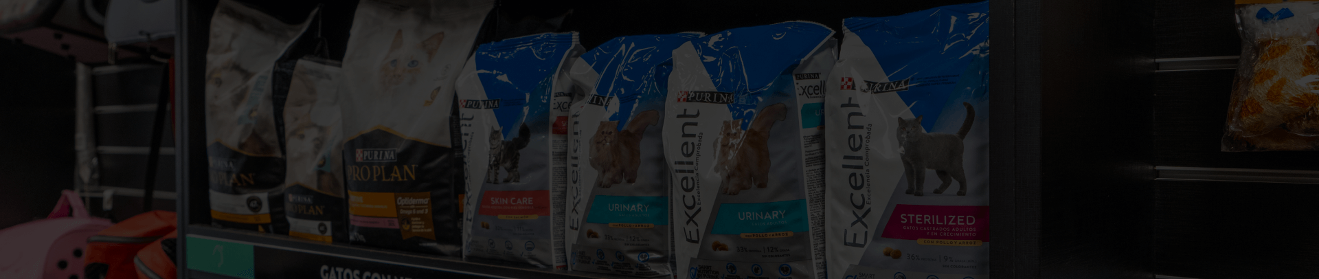 Organización de productos