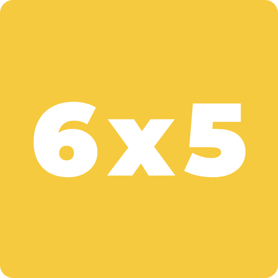 6x5 chiens&chats