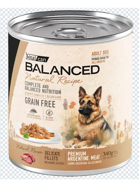 VITALCAN NATURAL RECIPE FILETES CARNE PERRO ADULTO 340G X 12U