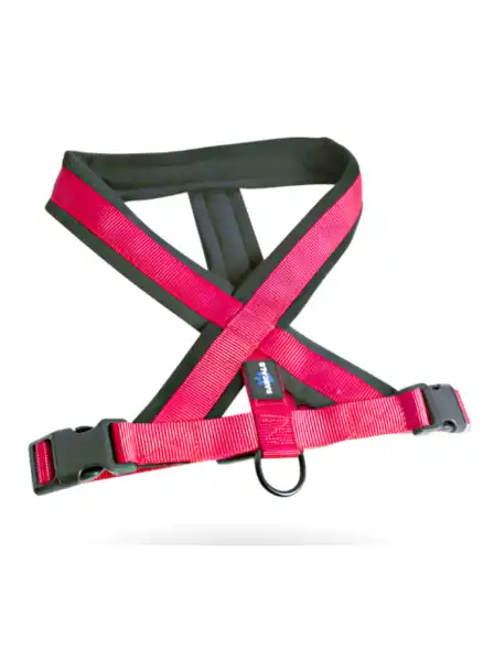 RASCALS DOG ARNES ACOLCHADO PREMIUM ANTI TIRON ROJO L/XL 2.5X70