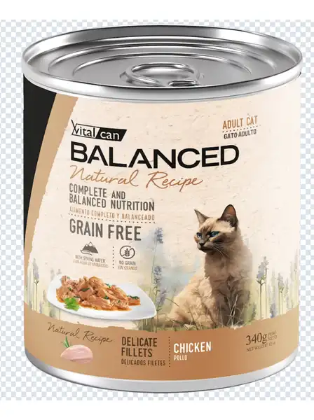 VITALCAN NATURAL RECIPE FILETES POLLO GATO ADULTO 340G X 12U
