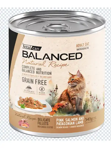 VITALCAN NATURAL RECIPE FILETES SALMÓN Y CORDERO GATO ADULTO 340G 