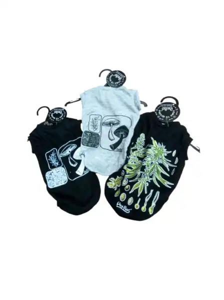 PER-ROS MUSCULOSA DISEÑO BOTANICA - T2 30
