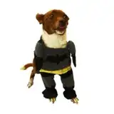 PER-ROS DISFRAZ BATMAN Nº3 35 CM.- 