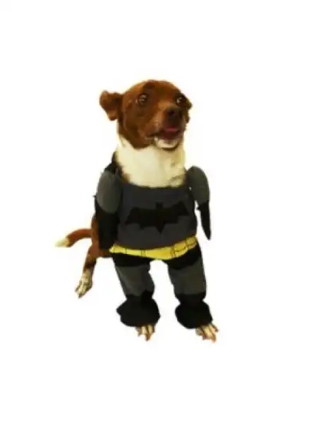 PER-ROS DISFRAZ BATMAN Nº3 35 CM.- 