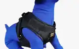 MISTER HUESO ARNES PRETAL AJUSTABLE TALLE S