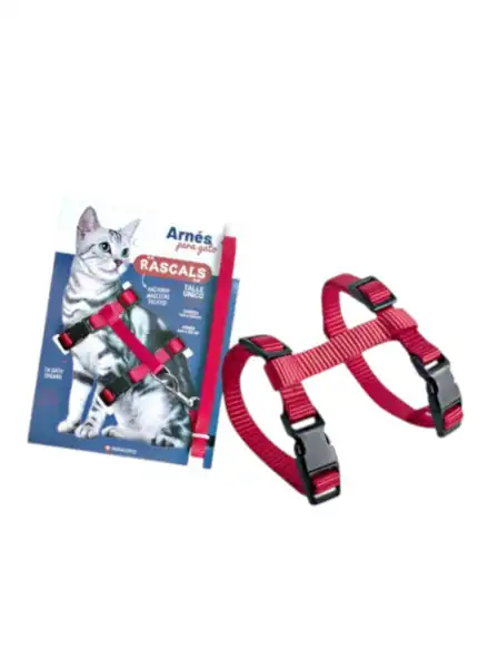 RASCALS SET CAT ARNES+CORREA ROJO 1.0CMX120CM