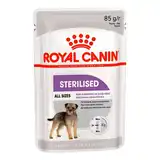 ROYAL STERILIZED POUCH 85GRS