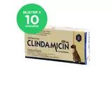LAMAR CLINDAMICIN 220 MG GRANDE (BLISTER X 10 COMP)