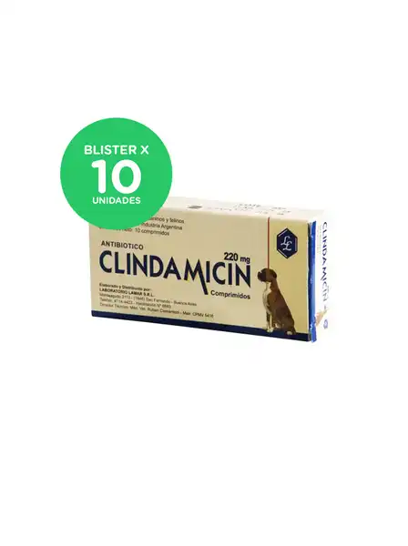 LAMAR CLINDAMICIN 220 MG GRANDE (BLISTER X 10 COMP)