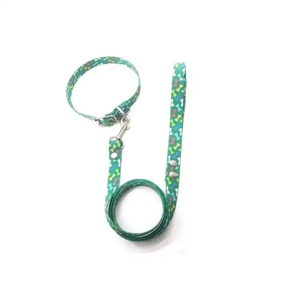 MISTER HUESO CONJUNTO COLLAR Y CORREA 