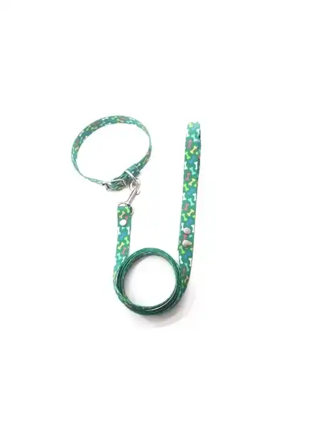 MISTER HUESO CONJUNTO COLLAR Y CORREA 