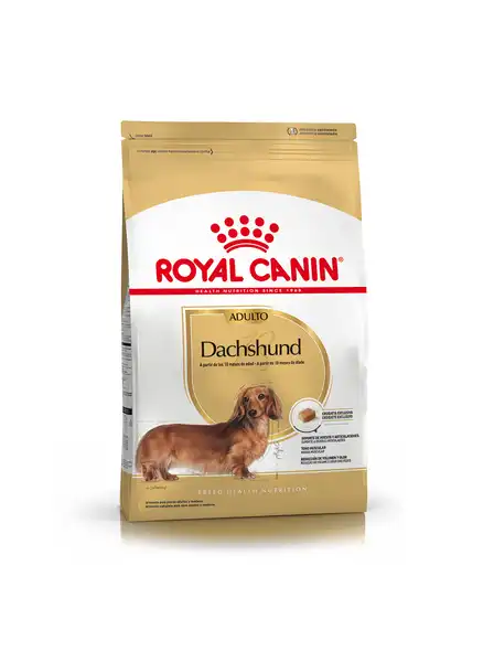 ROYAL DACHSHUND ADULTO 3KG