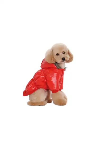 PER-ROS CAMPERA INFLABLE C/PIEL TALLE S - 