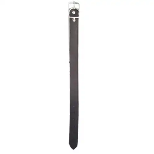 DM COLLAR 3,5CM X 75CM