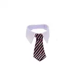 PER-ROS CORBATA CON CUELLO PARA PERROS LARGE - PER-ROS