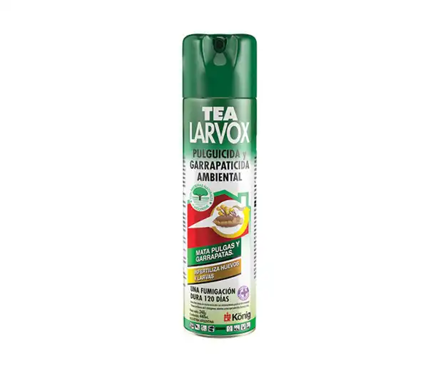 KONIG TEA LARVOX X 248GR/440ML