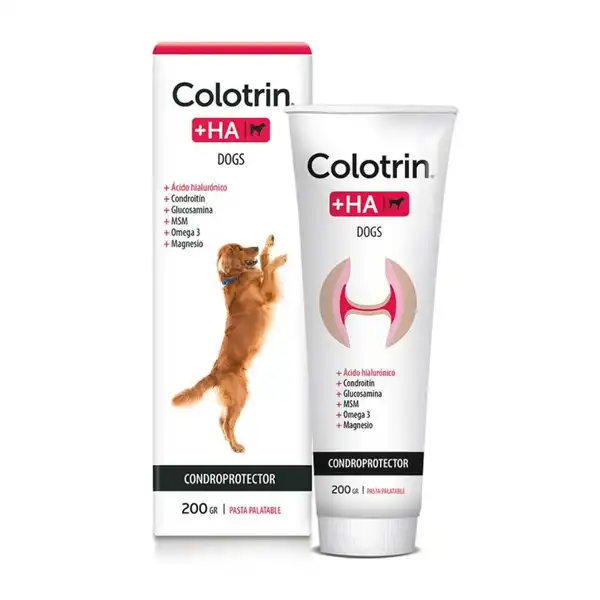 JOHNMARTIN COLOTRIN + HA DOG POMO X 200 GR. (PASTA PALATABLE)
