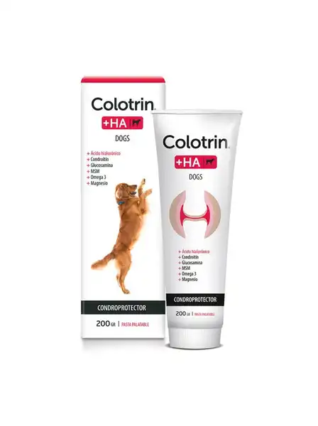 JOHNMARTIN COLOTRIN + HA DOG POMO X 200 GR. (PASTA PALATABLE)
