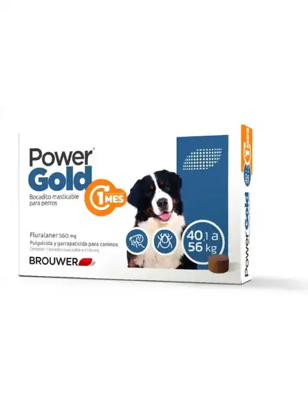 BROUWER POWER GOLD 1 MES 560MG - 40,1 A 56KG 