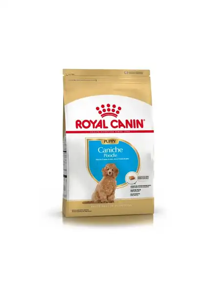 ROYAL CANICHE PUPPY 3KG