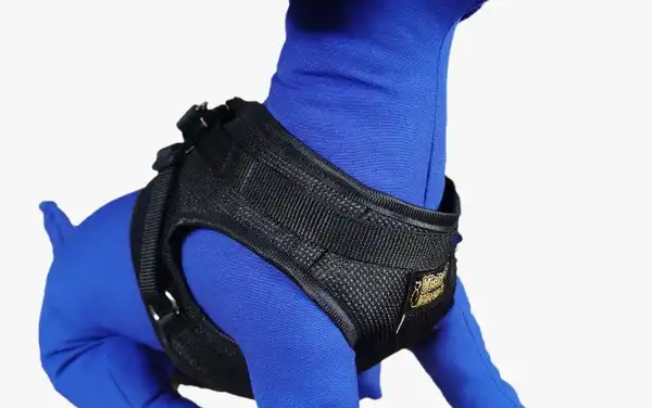 MISTER HUESO ARNES PRETAL AJUSTABLE XXL 53 A 59CM 
