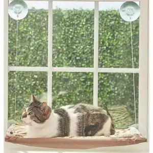 ZOOTEC CUNA VENTANA