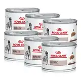 ROYAL HEPATIC DOG CAN LATA 200 GR X 6UNIT