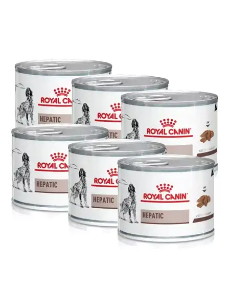ROYAL HEPATIC DOG CAN LATA 200 GR X 6UNIT