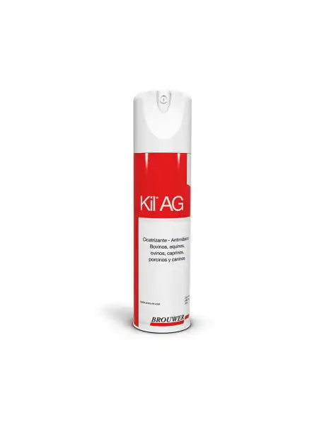 BROUWER KIL AG (PLATA) AER. X 440 CC