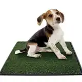 GREENCARPET ALFOMBRA SANITARIA 50.8X 63.5