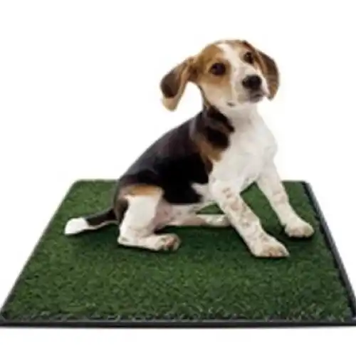 GREENCARPET ALFOMBRA SANITARIA 50.8X 63.5