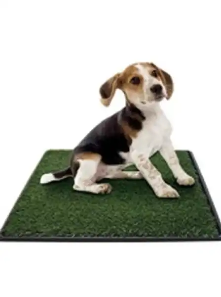 GREENCARPET ALFOMBRA SANITARIA 50.8X 63.5