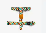 ZEEDOG PHANTOM H-HARNESS SMALL