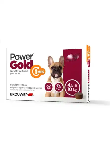 BROUWER POWER GOLD 1 MES 100MG - 4,6 A 10KG 