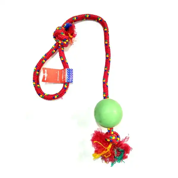 PETSPLAST PELOTA DE GOMA GRANDE SOGA ALPINA