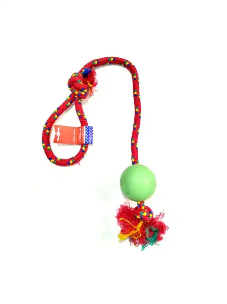PETSPLAST PELOTA DE GOMA GRANDE SOGA ALPINA