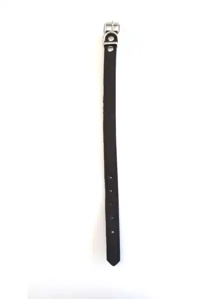 DM COLLAR 2,5CM X 40CM