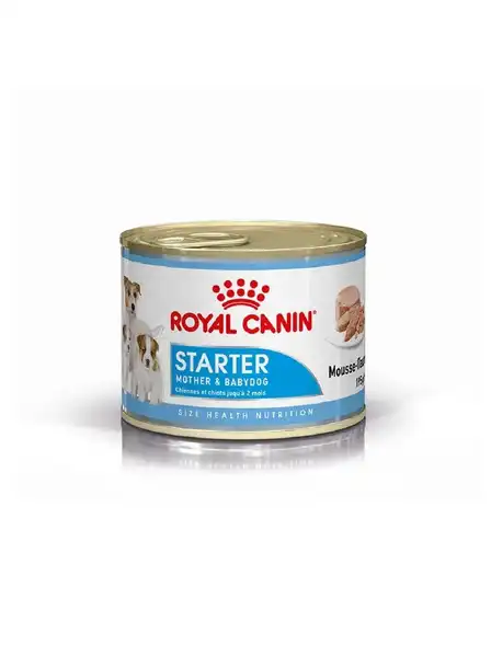 ROYAL STARTER MOTHER & BABYDOG LATA 195GR (CAJA X6)