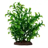 HAGEN FLUVAL PLANT LARGE BACOPA