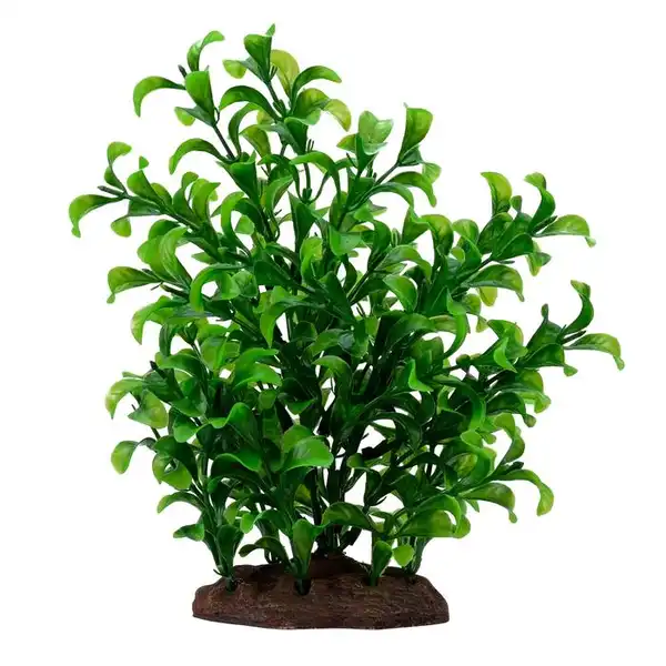 HAGEN FLUVAL PLANT LARGE BACOPA