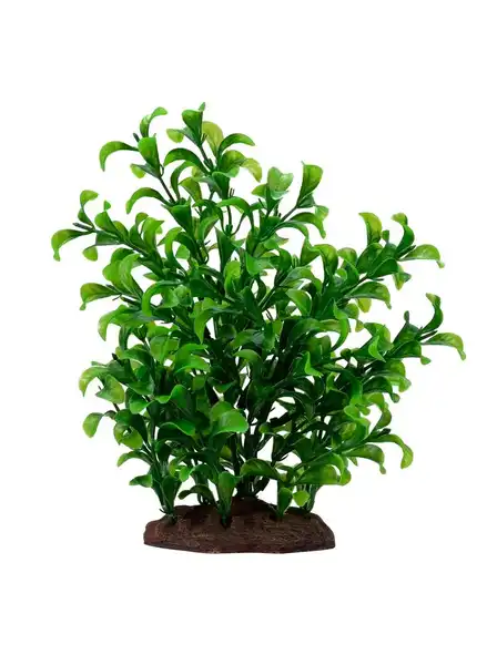 HAGEN FLUVAL PLANT LARGE BACOPA