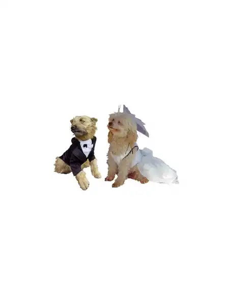 PER-ROS VESTIDO DE NOVIA 50 CM. - 