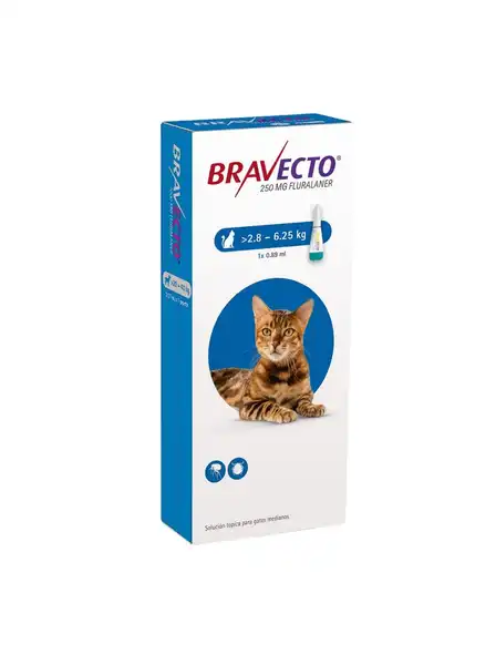MSD BRAVECTO SPOT ON 250MG GATOS 2,8 A 6,25KG
