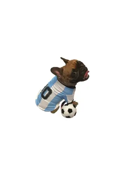 PER-ROS CAMISETA DE ARGENTINA Nº1 25 CM. - 