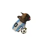 PER-ROS CAMISETA DE ARGENTINA Nº7 55 CM.- 