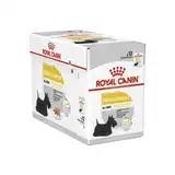 ROYAL DERMACOMFORT POUCH 85GRS (CAJA X 12 UNIDADES)